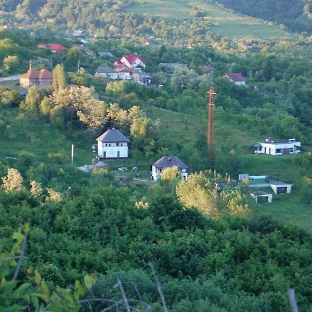 Cottage Poe Poienari ภายนอก รูปภาพ