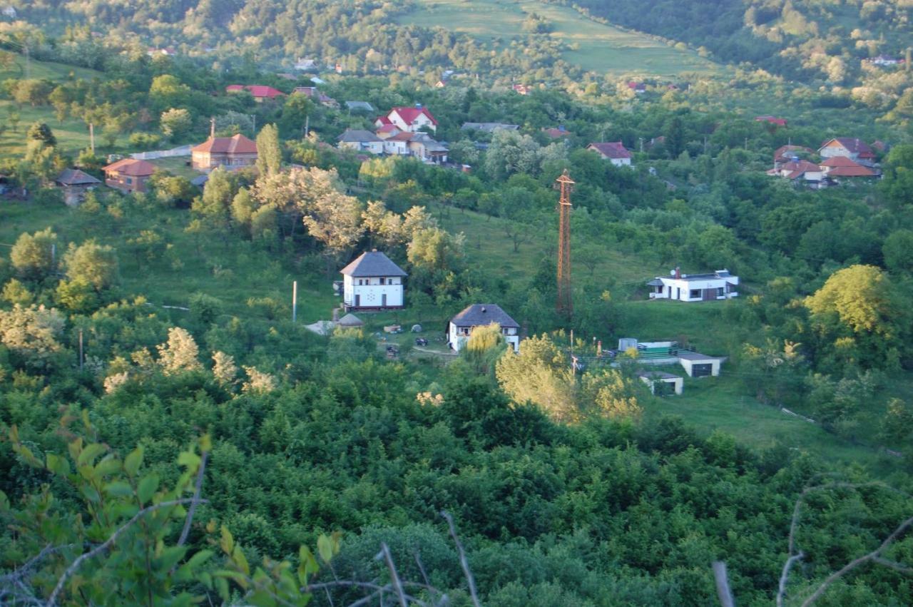 Cottage Poe Poienari ภายนอก รูปภาพ